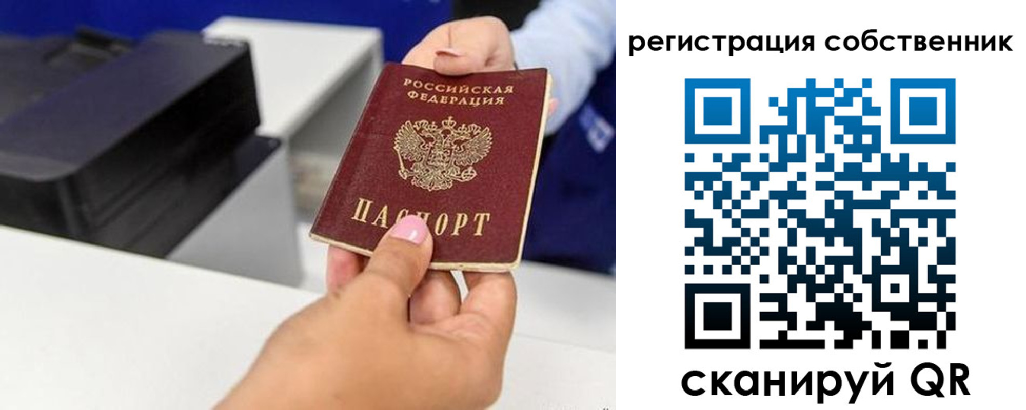прописка для школы в Мирном